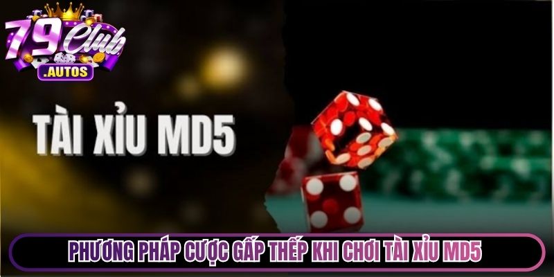 Phương pháp cược gấp thếp khi chơi Tài Xỉu MD5 đem lại hiệu quả cao